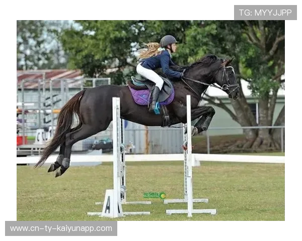 荷兰马术协会与澳大利亚马术协会签署人才交流协议，促进双向发展。